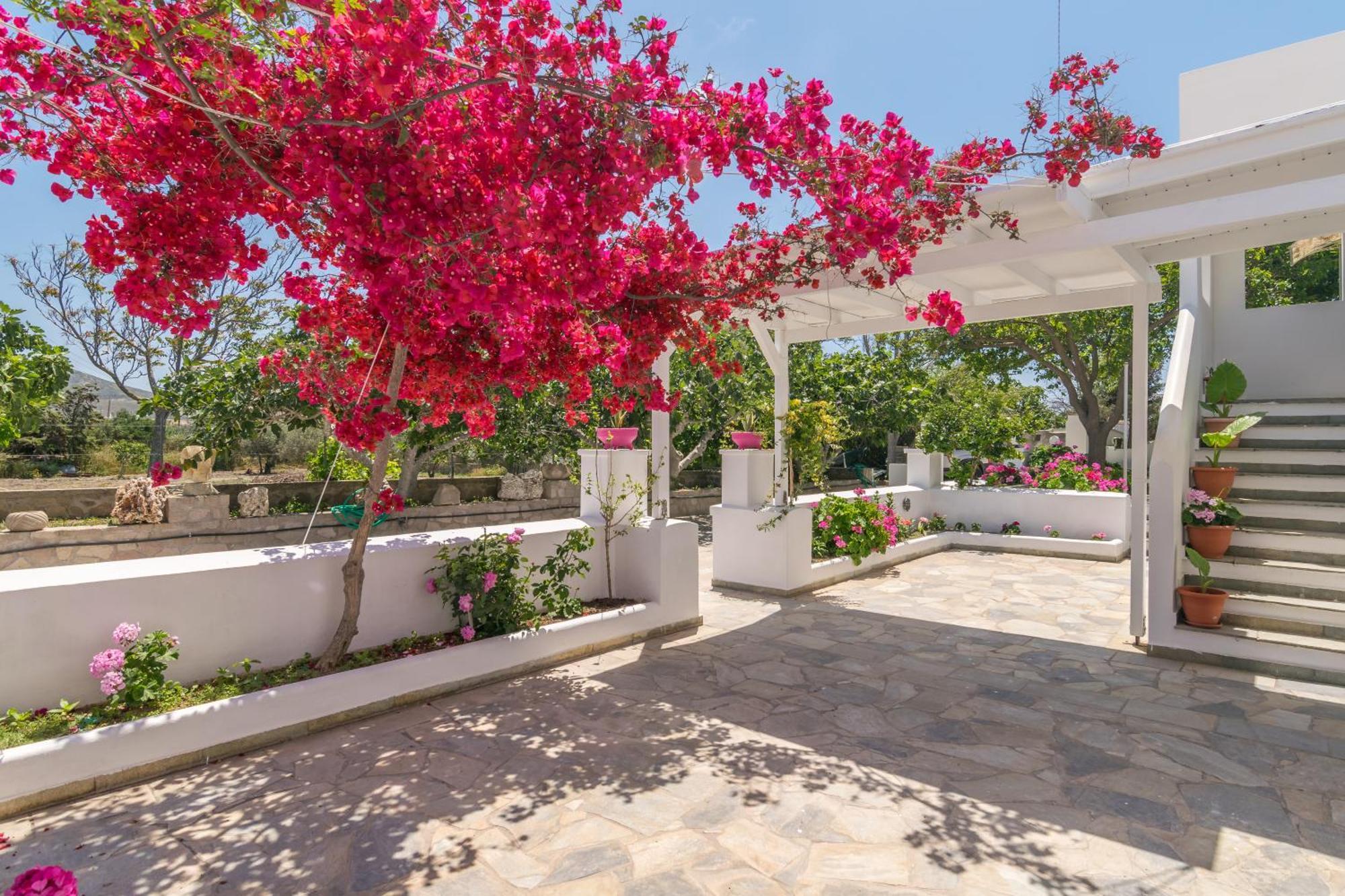 Lina And Babis' Home Adamantas  Exterior foto